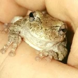 Meet your Posher, Dalton